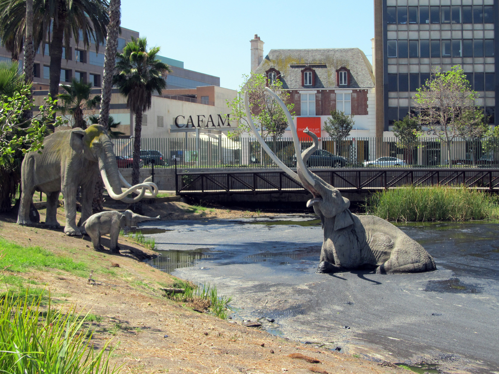 La Brea Tar Pits 3