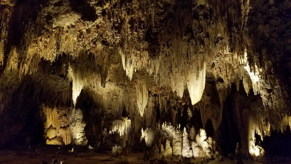 Carlsbad Caverns National Park - New Mexico - USA - 8