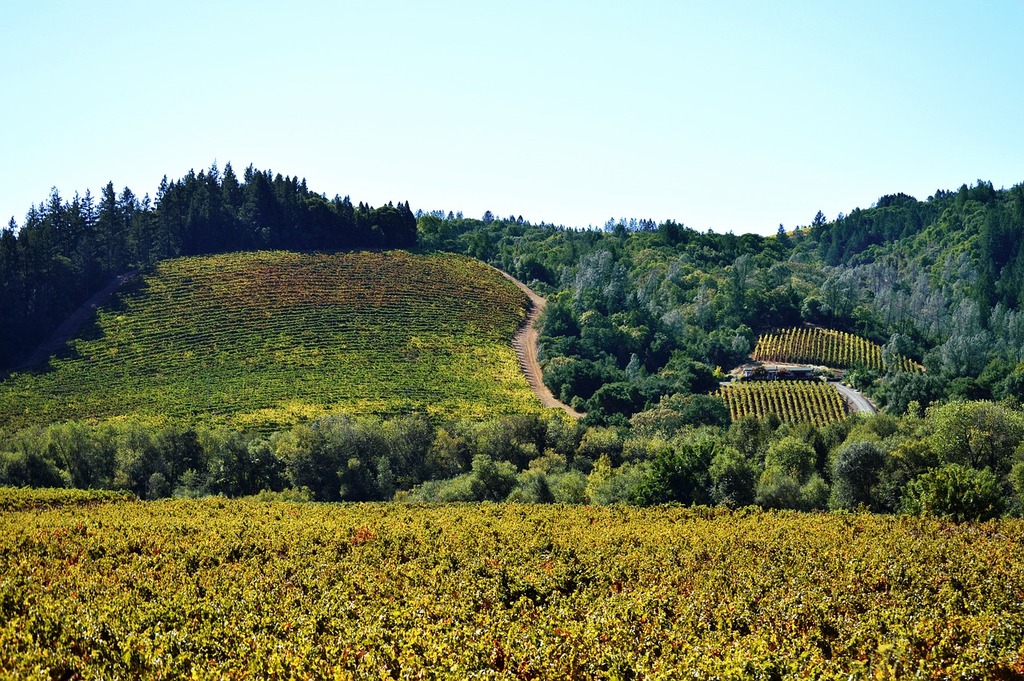 Sonoma County Valley 