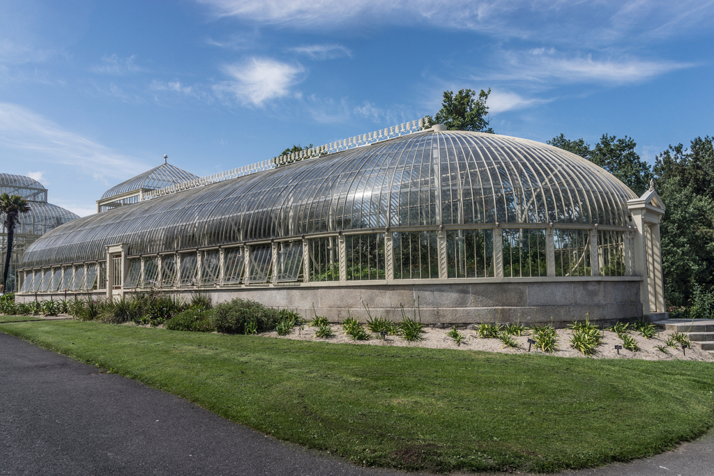 National Botanic Gardens In Glasnevin (Dublin) - panoramio (33)