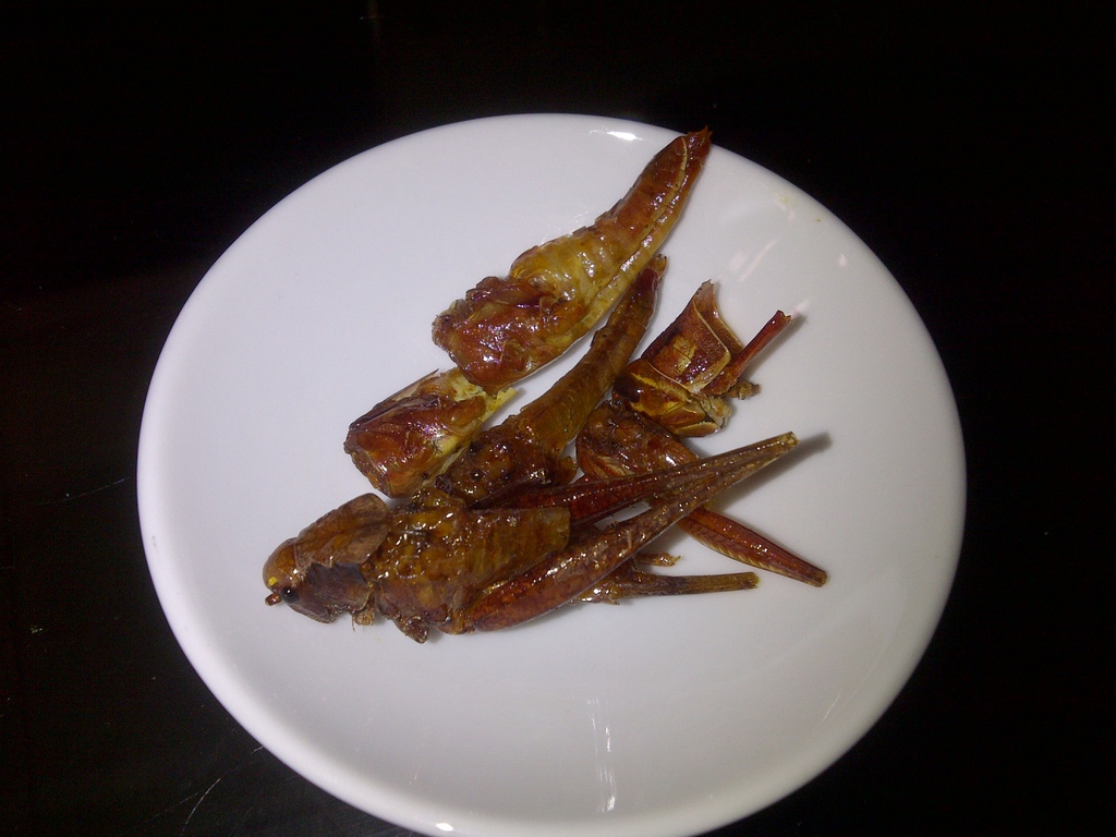 Fried grasshoper