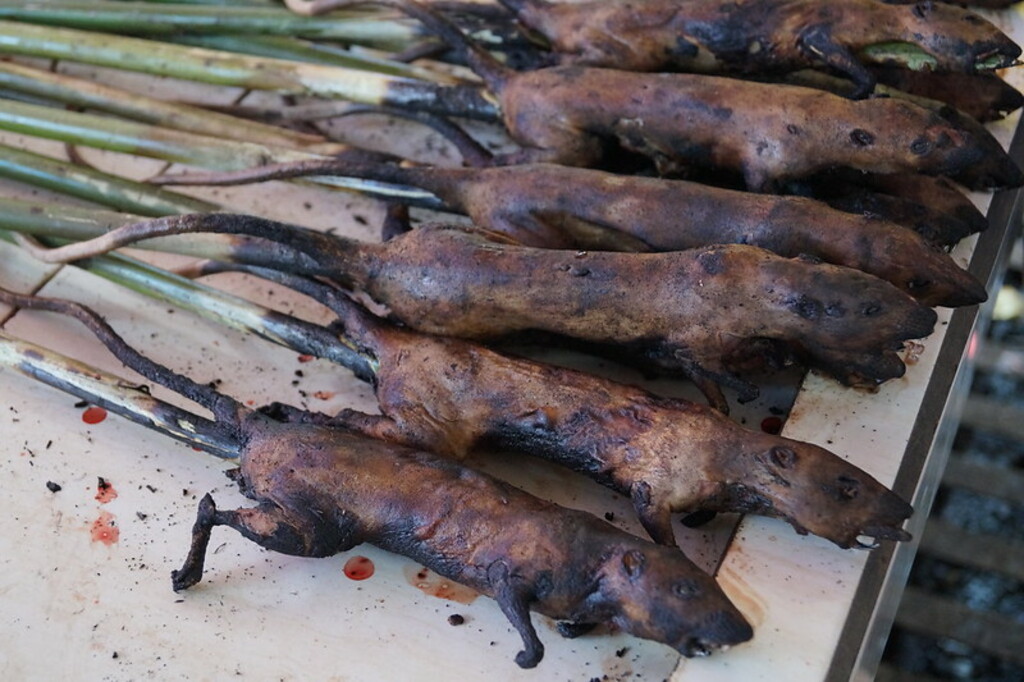 Fancy a rat satay? Tomohon animal market, Sulwesi, Indonesia