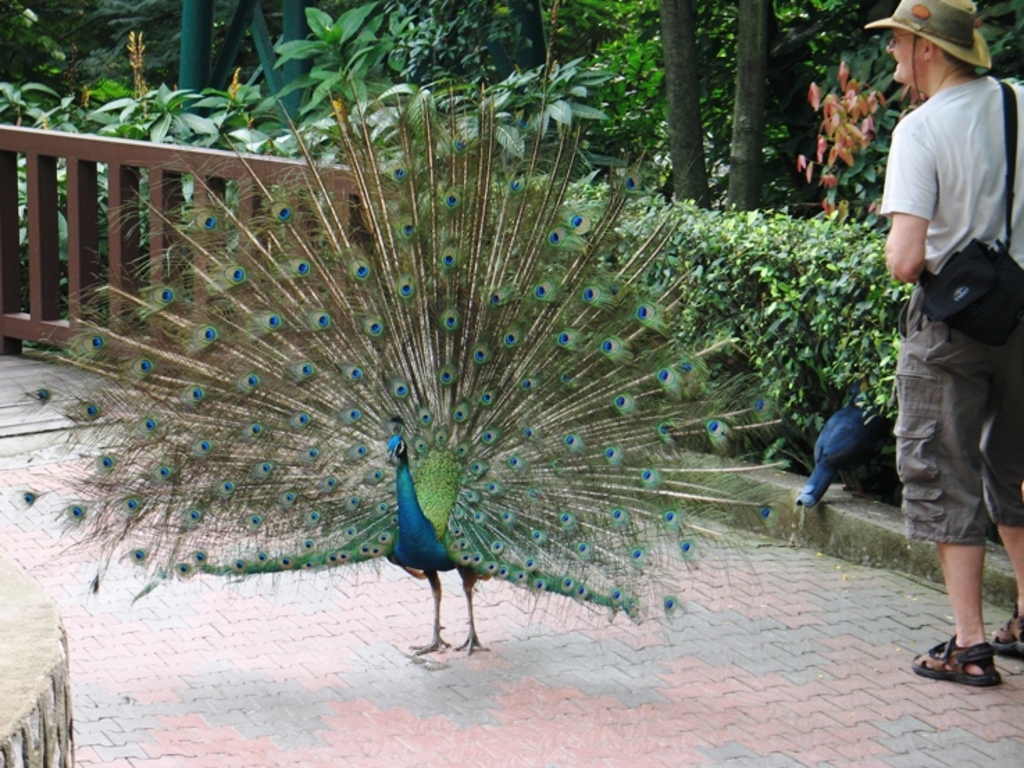 KL Bird Park inside
