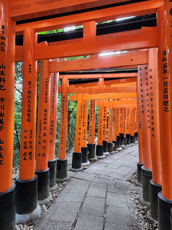 The red torii gates with inscriptions