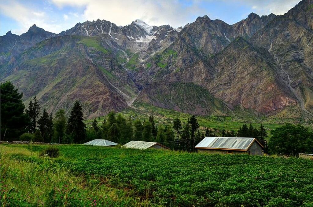 Naltar Valley, Gilgit Baltistan