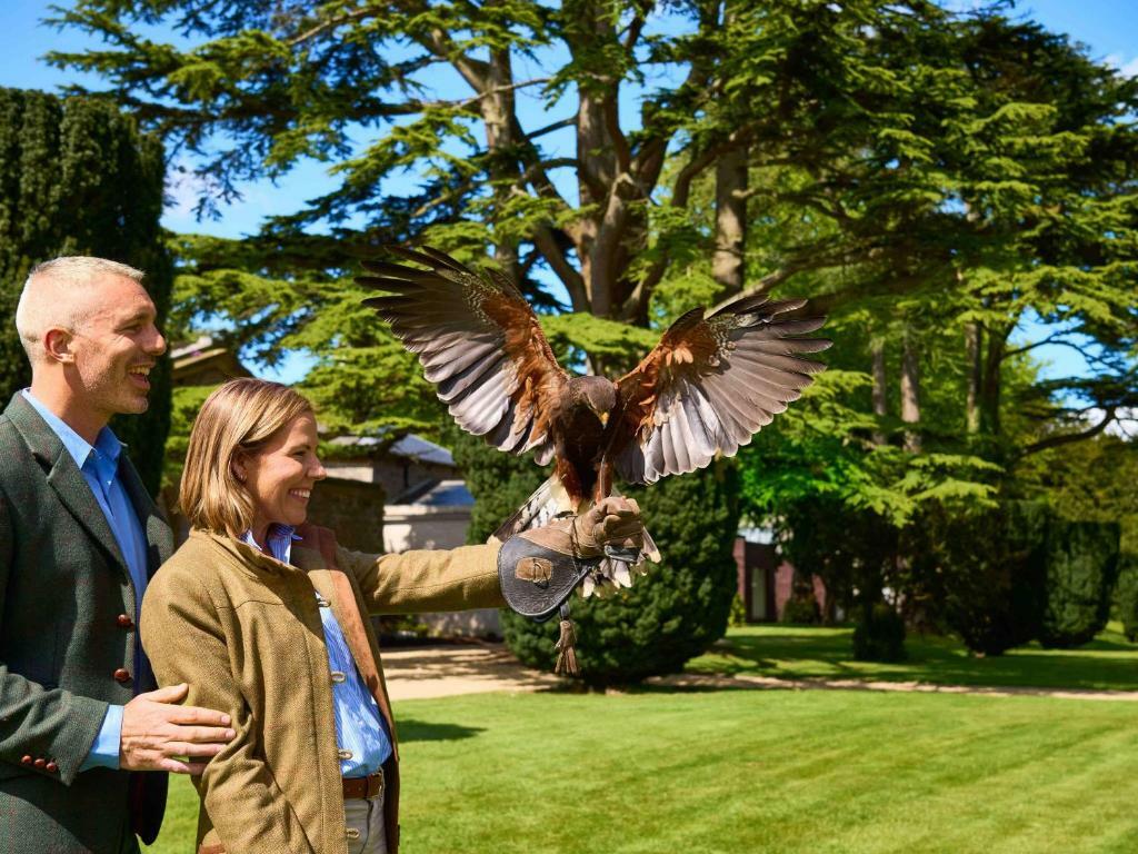 Carton House Falconry