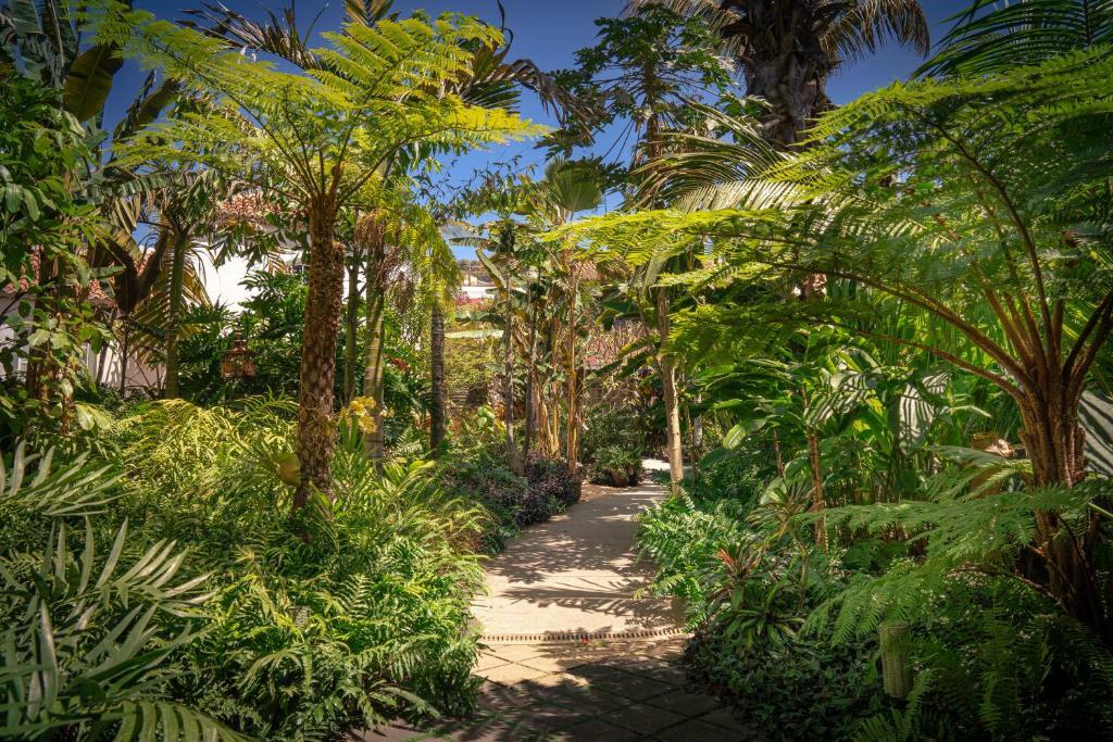 Hacienda de Abajo Garden