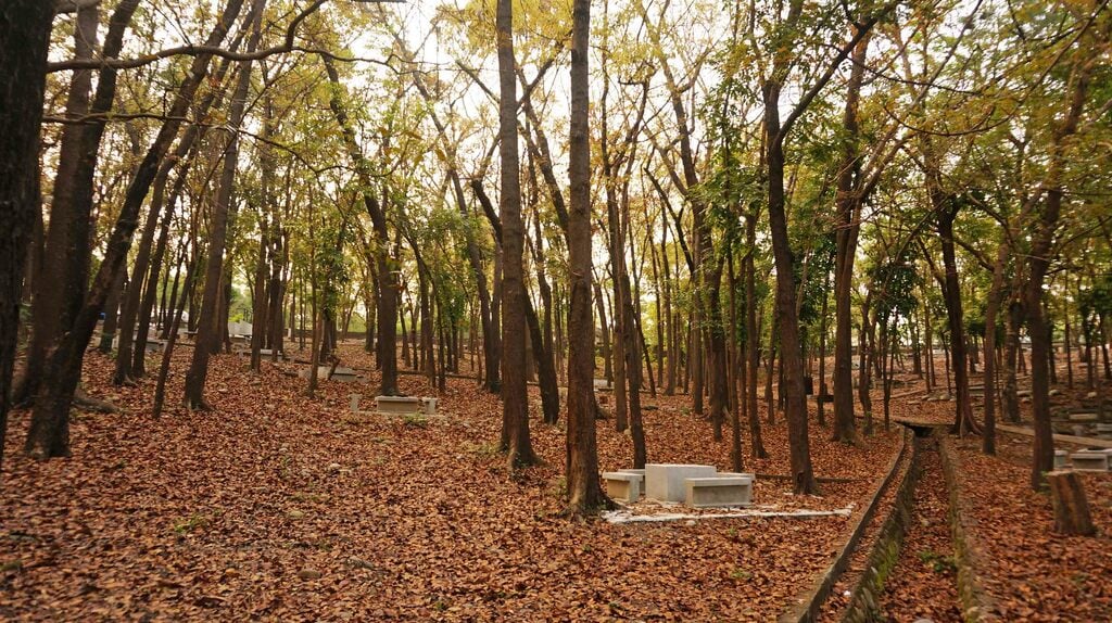 lakes in kaohsiung | things to do at cheng cing lake