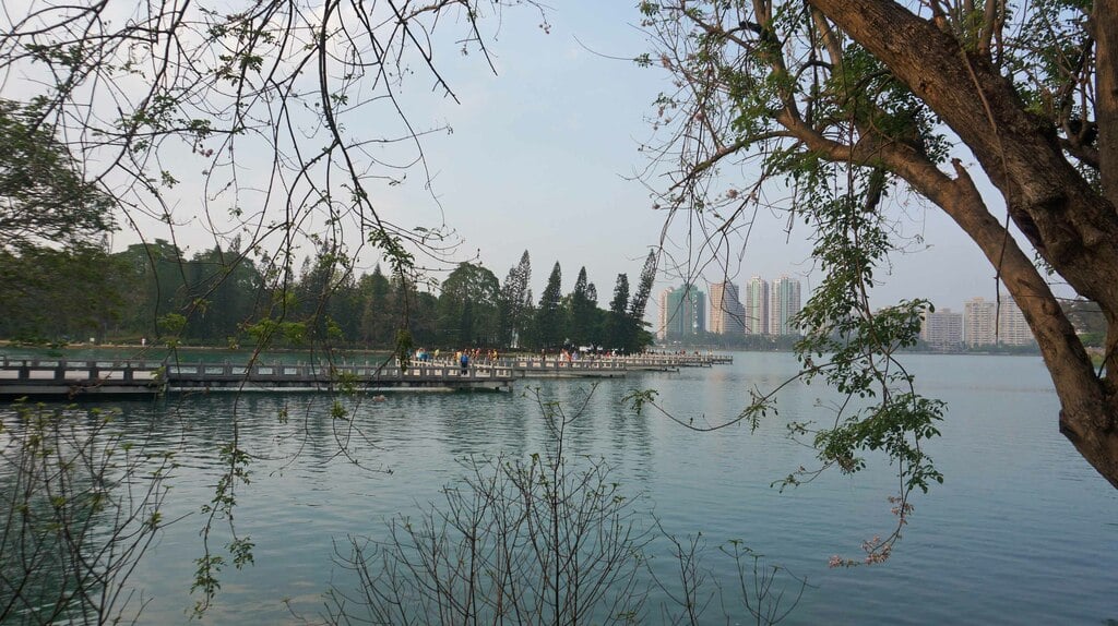 lakes in kaohsiung | how to get to cheng cing lake