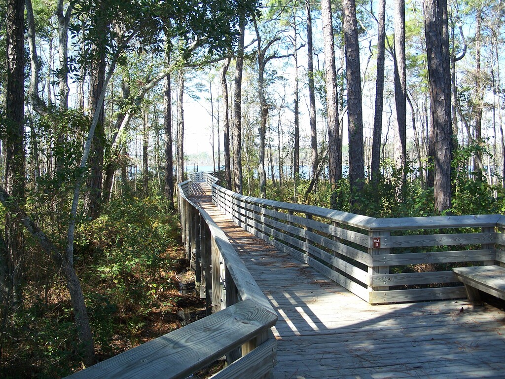 Pensacola FL Tarkiln Bayou SP Claire bdwlk04