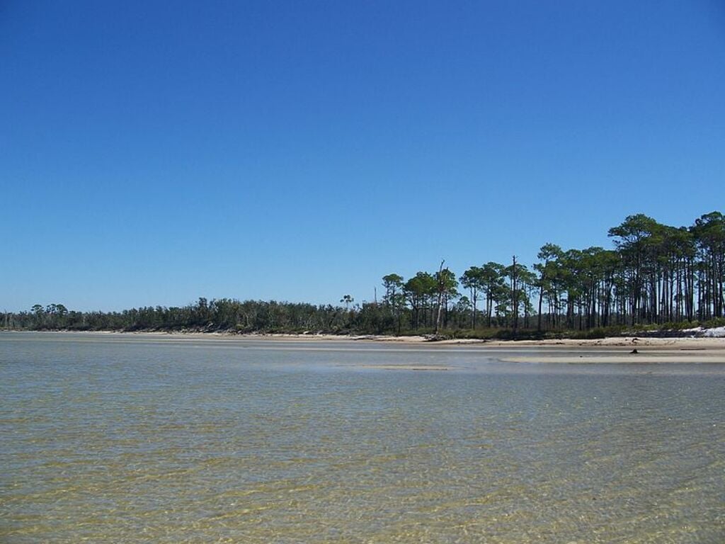 GINS FL Live Oaks north part water south01
