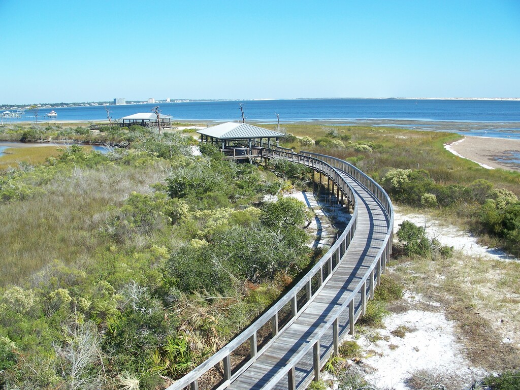 Pensacola FL Big Lagoon SP from obs tower02