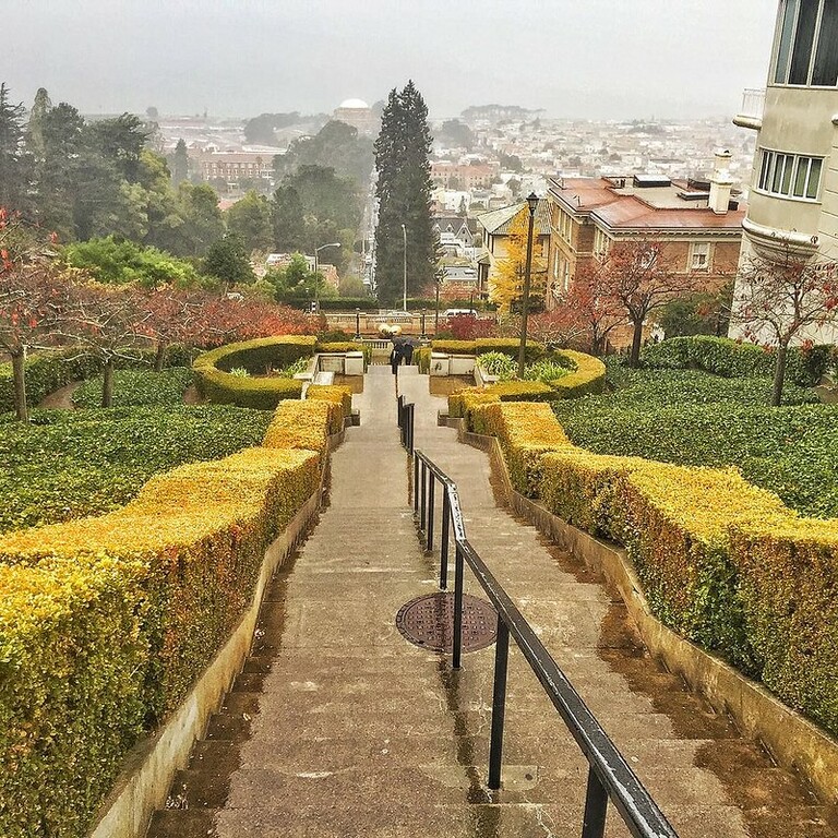 The Lyon Street Steps in San Francisco.