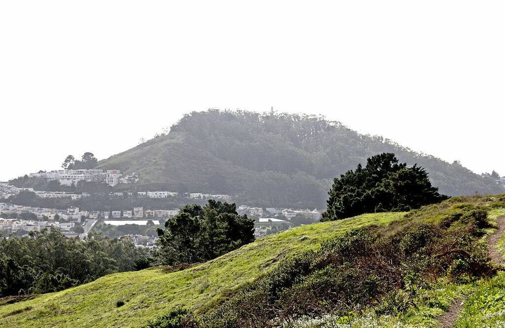Mt. Davidson