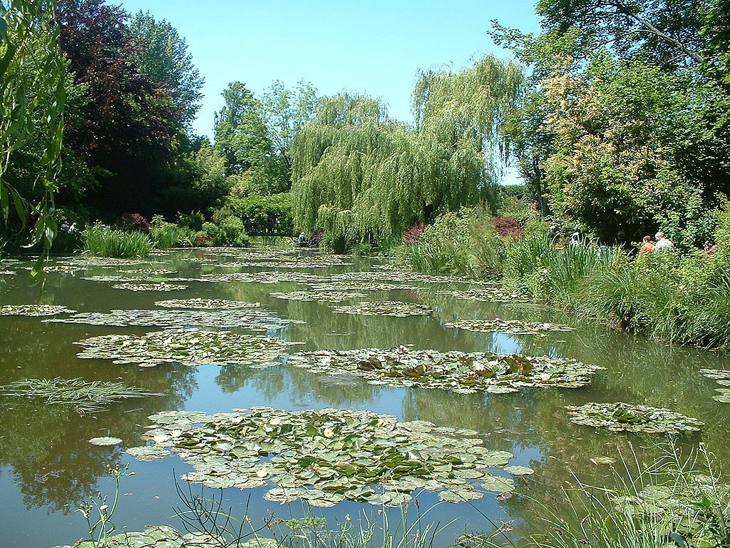 Giverny nympheas