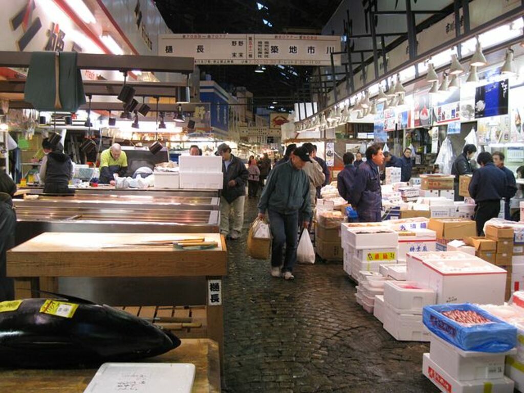 Fresh Fish 