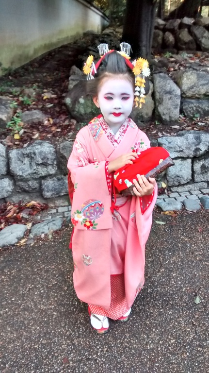 Kimono ,Japanese traditional dress