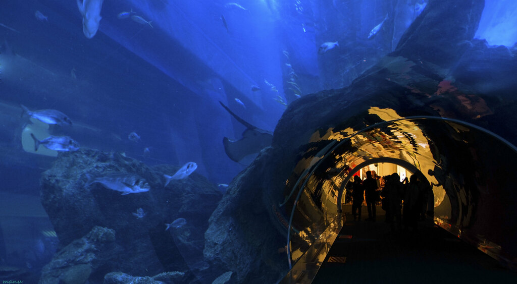 suspended water world....