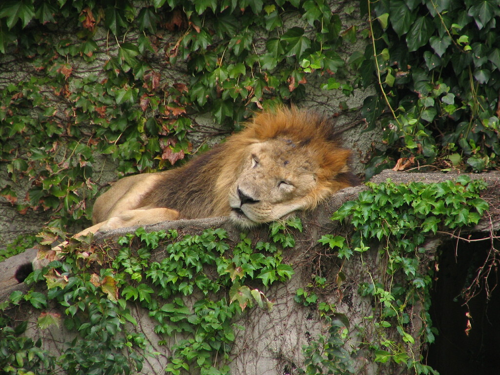 Tennoji zoo, Osaka, Japan