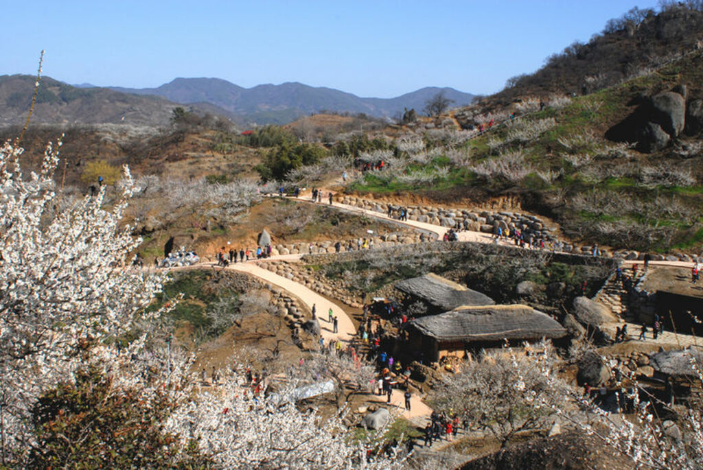 Gwangyang Maehwa Festival in Spring - 4402789449