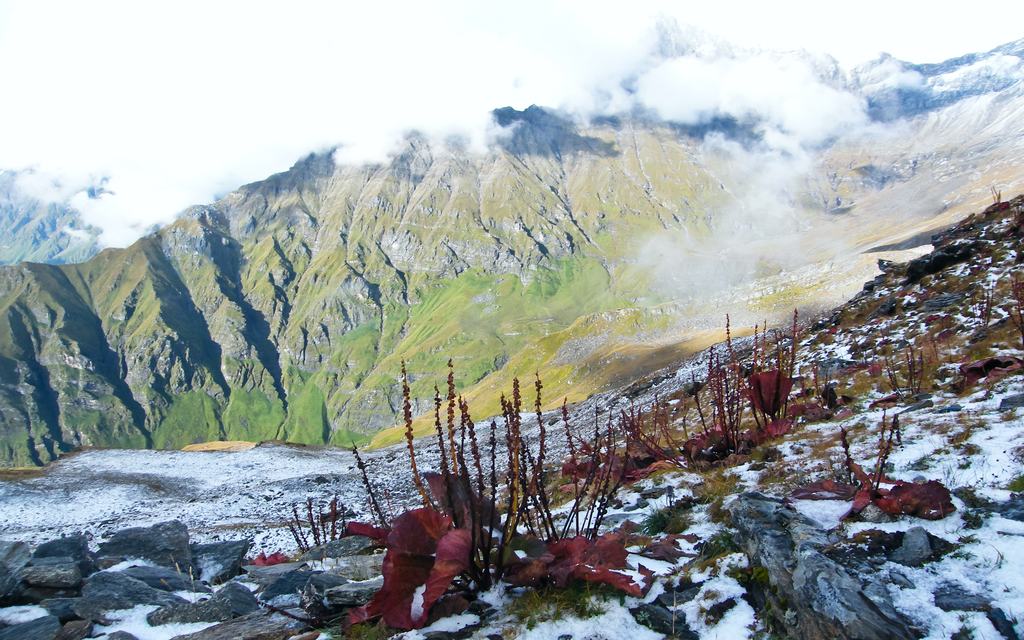 Nanda Devi Biosphere Reserve - Chamoli