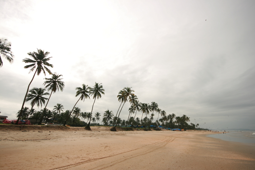 day one in colva beach. goa. india.