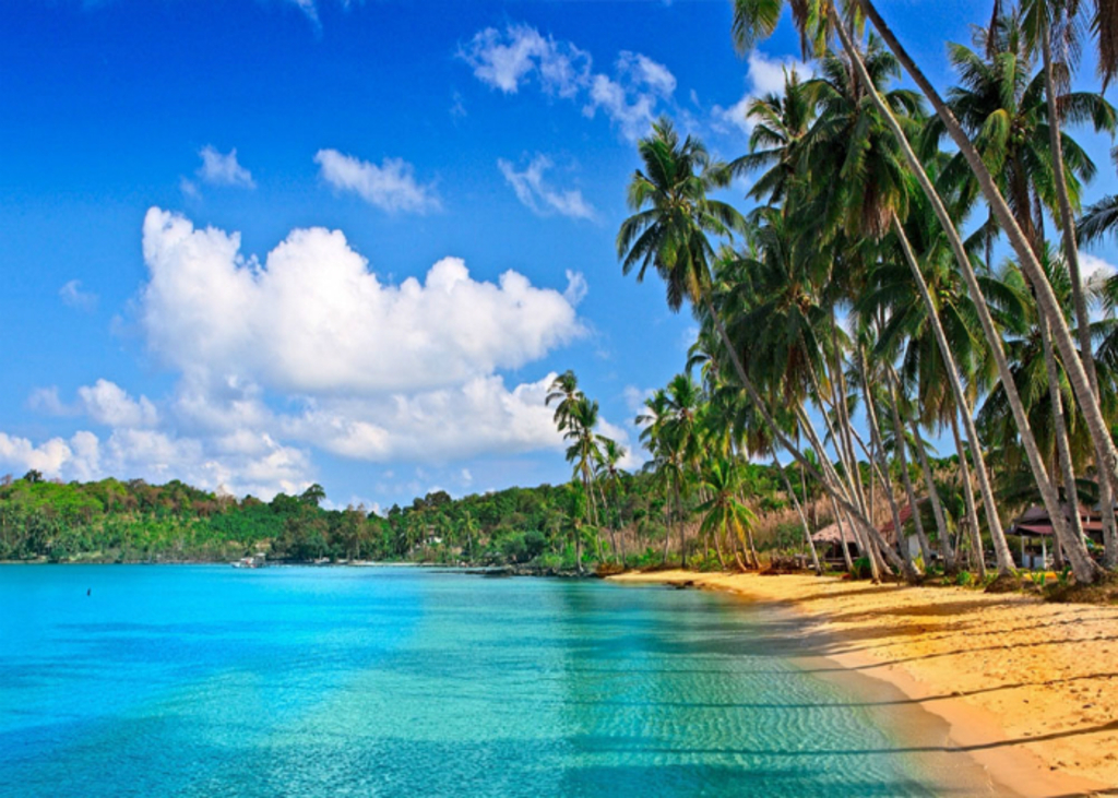 Andaman Nicobar Beach