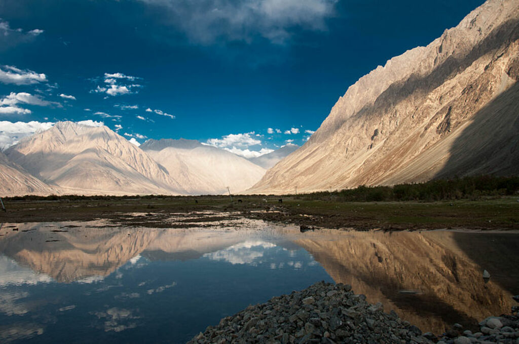 Nubra valley 