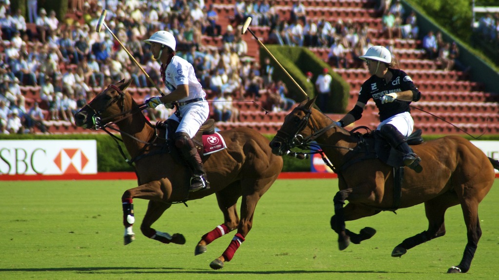 Campeonato Argentino de Polo 2010 - 5237109478 e7ed034169 o