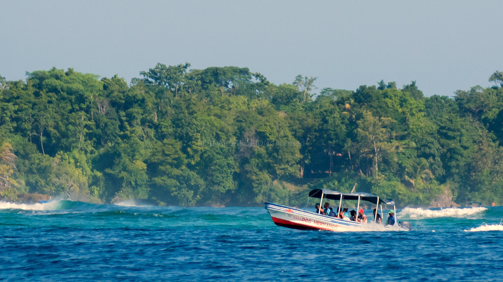 caribbean ride