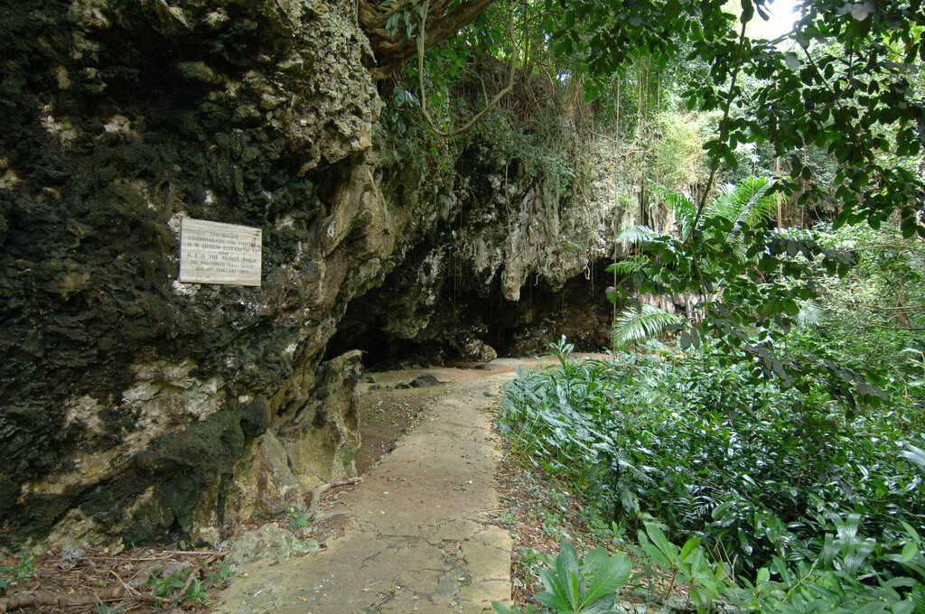 WELCHMAN HALL GULLY TROPICAL PRESERVE - BARBADOS