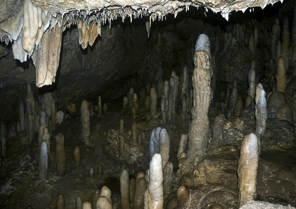 Harrison's Cave