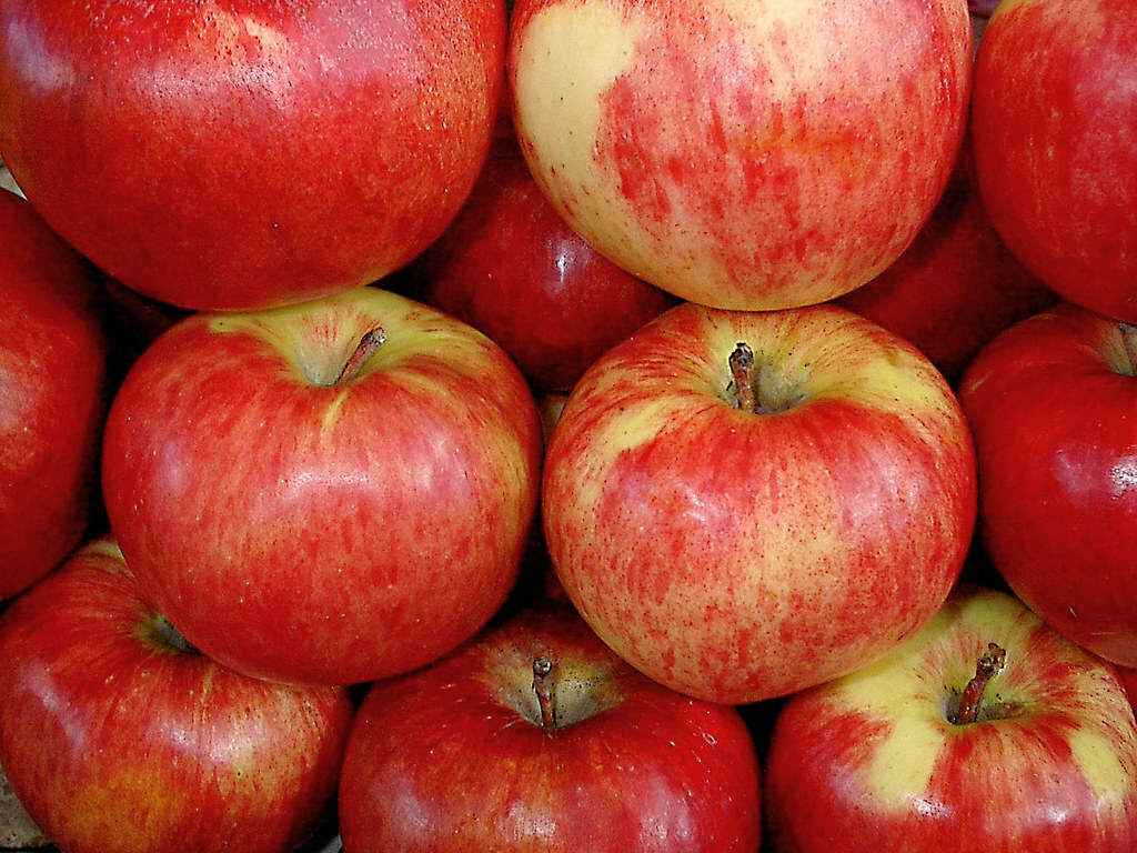 Kazakh apple