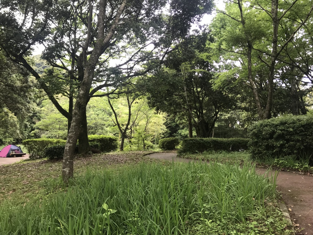 Nakanoshima Park 20180617-4