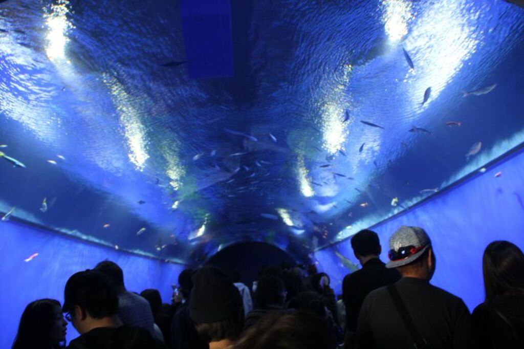 Osaka Aquarium Kaiyukan