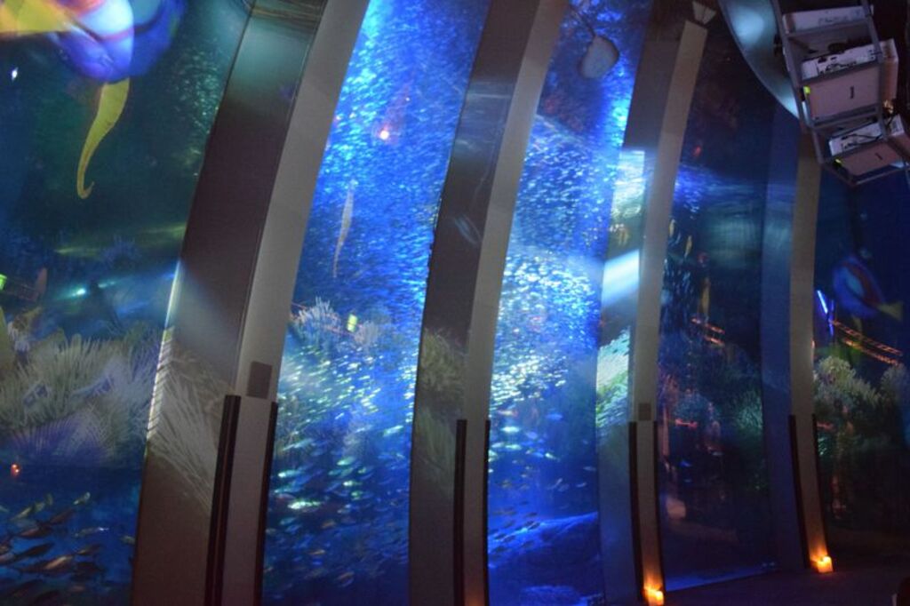 "Yokohama Hakkeijima Sea Paradise (https://www.klook.com/en-HK/activity/7891-hakkeijima-sea-paradise-yokohama-tokyo/?gclid=EAIaIQobChMI4-WvuJDa5AIVDCUrCh3RpwShEAAYASAAEgKrFPD_BwE)