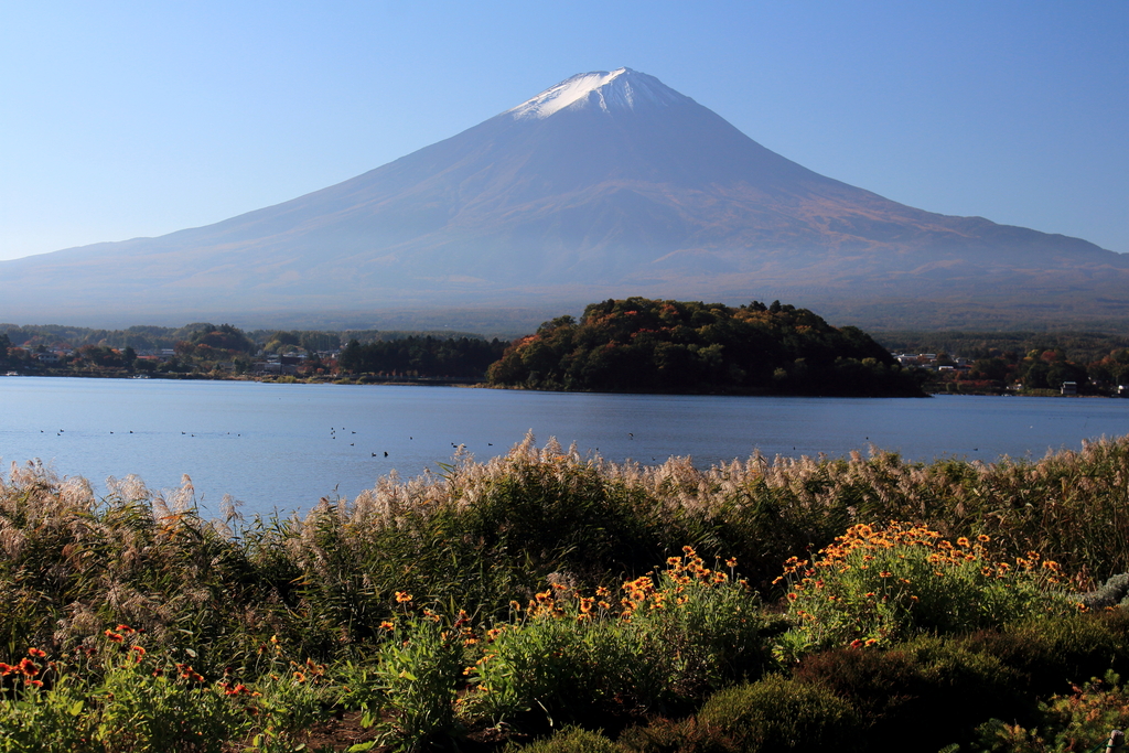 Mount Fuji from Oishi Park