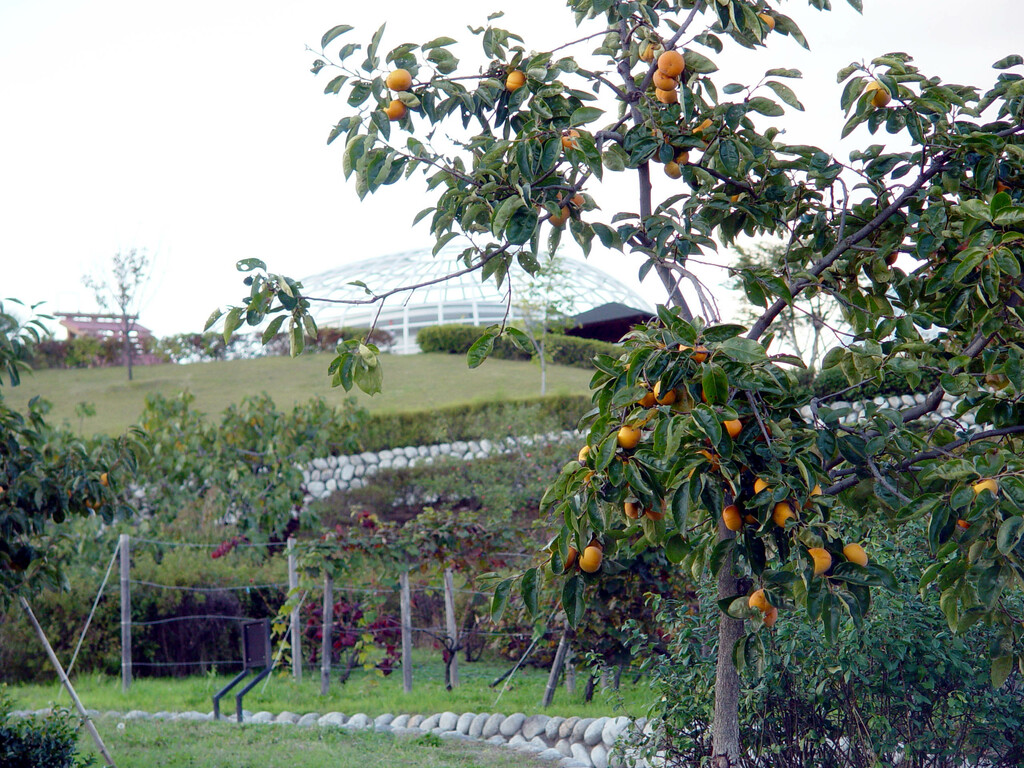 Fuefukigawa Fruits Park, Yamanashi, Yamanashi, Japan