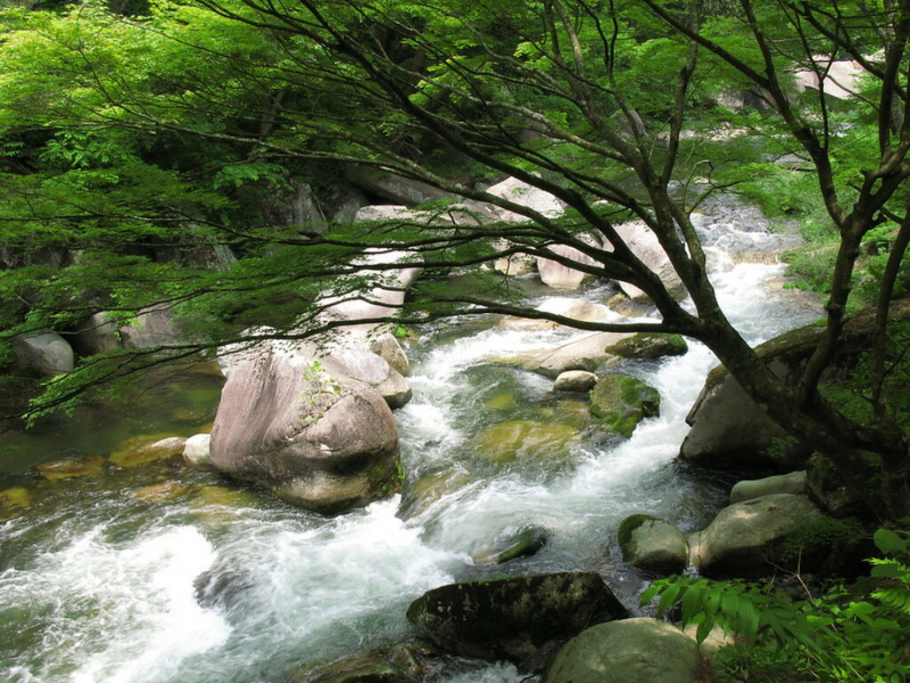 River / ()