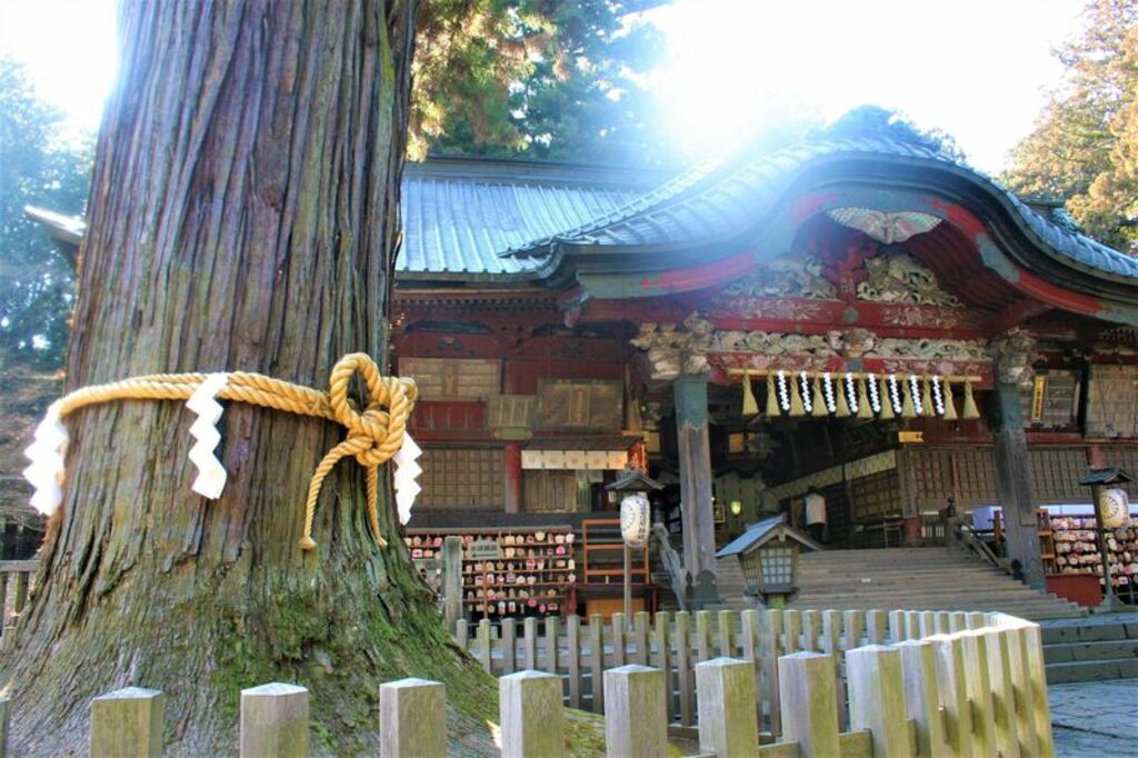 Soak up the sacred atmosphere of Kitaguchi-hongu Fuji Sengen Shrine