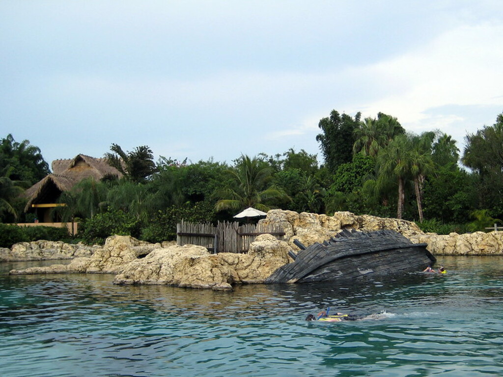 Discovery Cove, Orlando (441096)