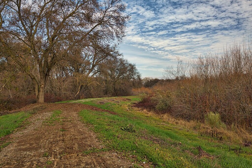 San Joaquin River National Wildlife Refuge