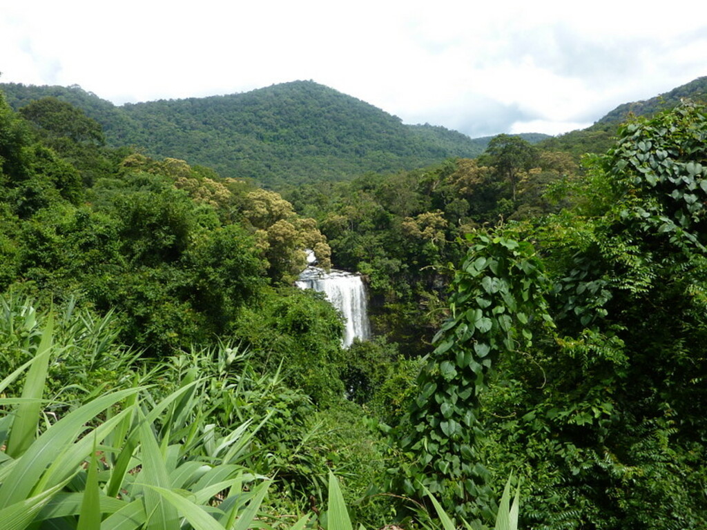 Bolaven Plateau, Laos