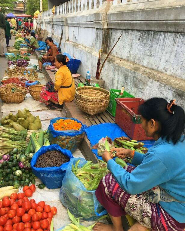 things to do in luang prabhang laos | explore the morning market