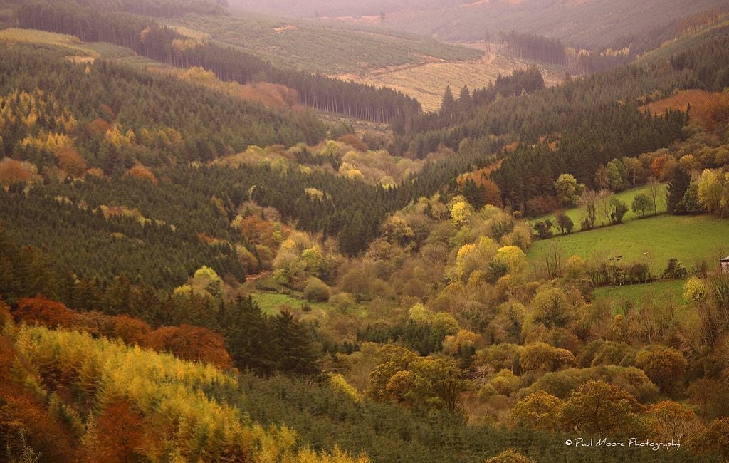 SlieveBloomView