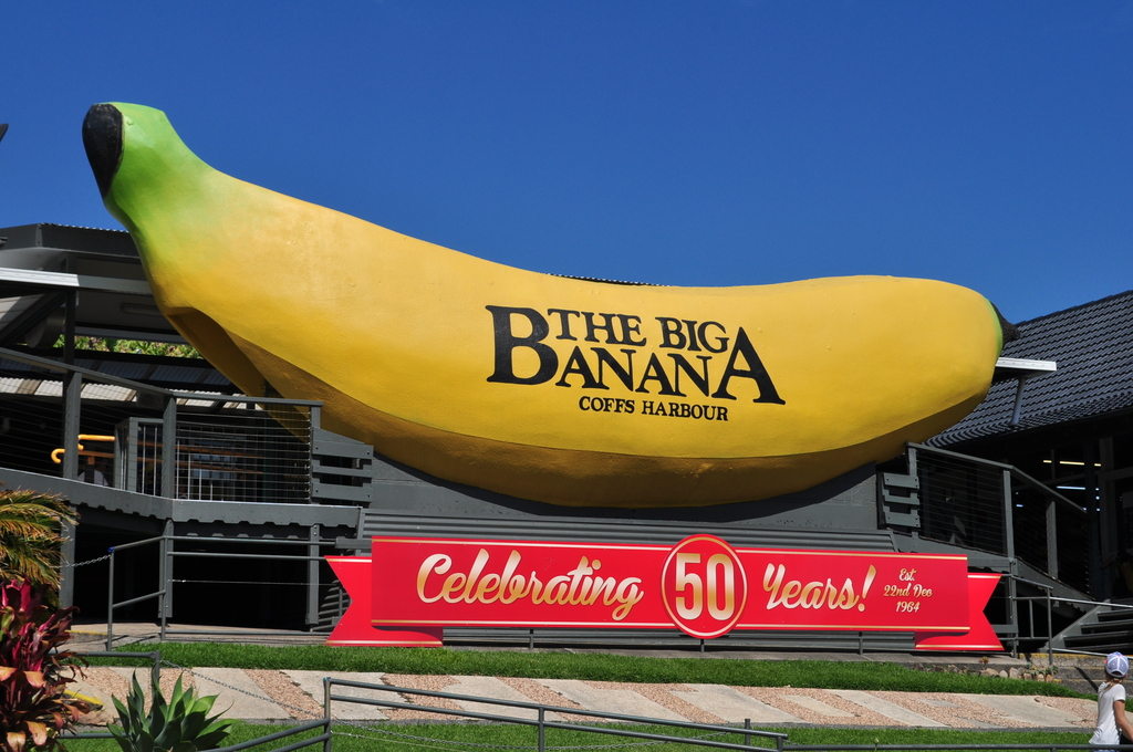 Big Banana 50 Years
