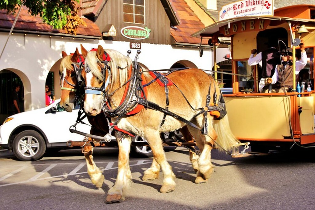 solvang trolley