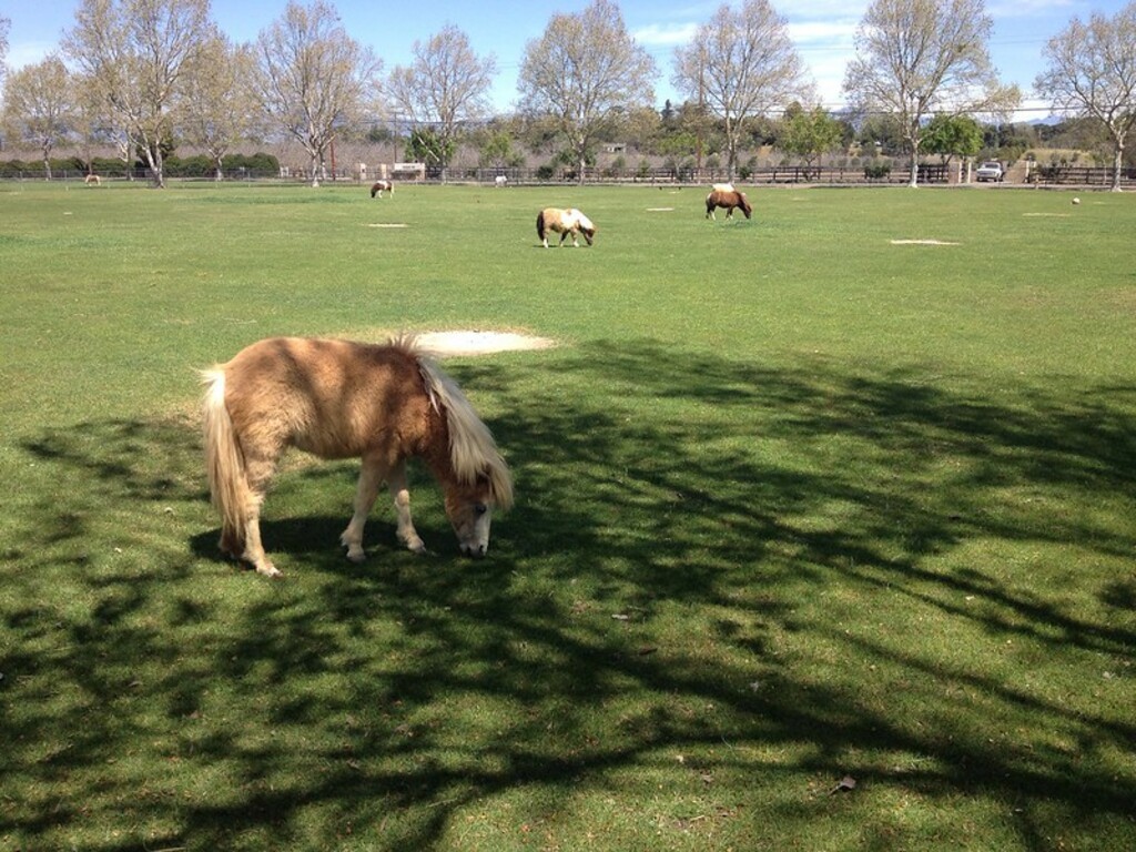 Spring Break 2013: Day 7
