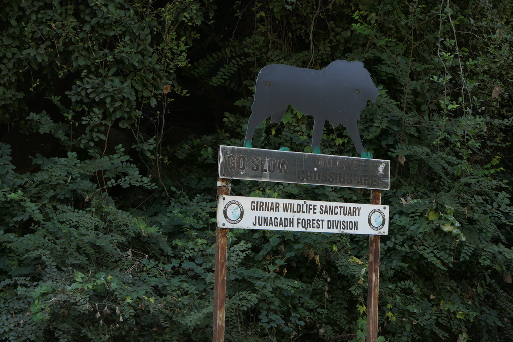 Girnar Wildlife Sanctuary