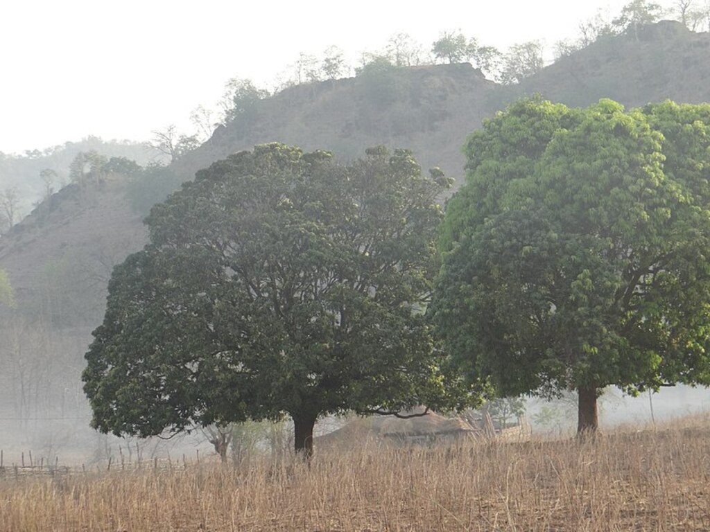 Landscape at shoolpaneshwar wildlife sanctuary 06